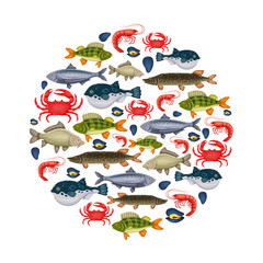 Seafood set with crab, fish, mussel, shrimp in circle. Design for restaurant menu, market. Marine creatures in flat style - vector illustration