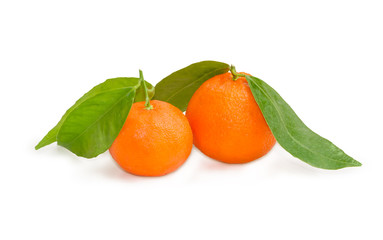 Two mandarin oranges on a small twigs with leaves