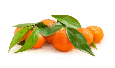Mandarin oranges and small twigs with leaves