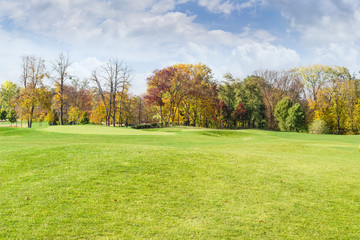 Large glade in the autumn park