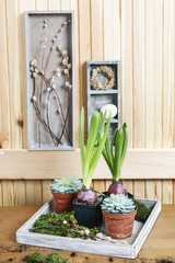 Fototapeta na wymiar Florist workplace: potting spring flowers.