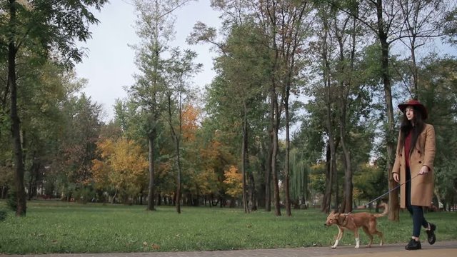 Stunning woman with puppy walking in autumn park