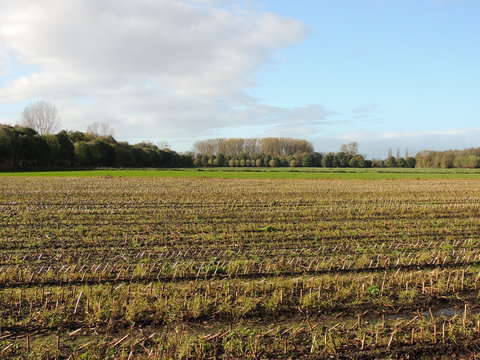 Stoppelfelder am Niederrhein Oktober Landschaft