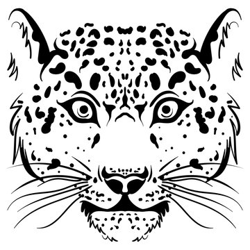 Black and white vector sketch leopard face