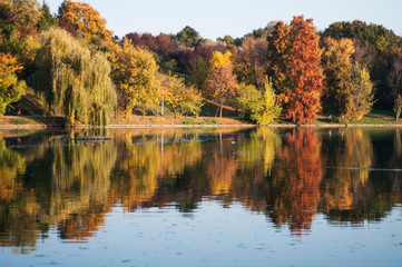 Autumn landscape in the park