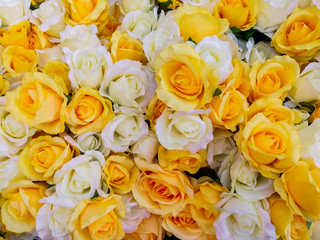 Springtime, Summer, Bouquet, Purple, Rose - Flower