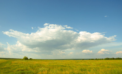 Fototapeta na wymiar Rustic, summer landscape.