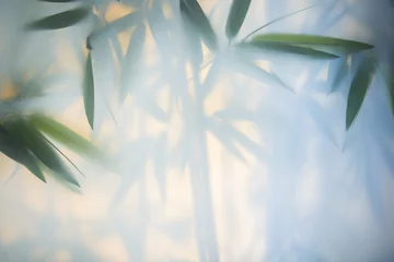 Store enrouleur sans perçage Bambou Bambou vert dans le brouillard avec des tiges et des feuilles derrière le verre dépoli
