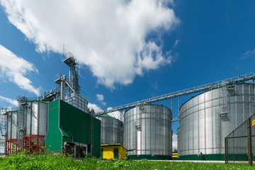 Fototapeta na wymiar The modern granary. Large steel silos for storing wheat.