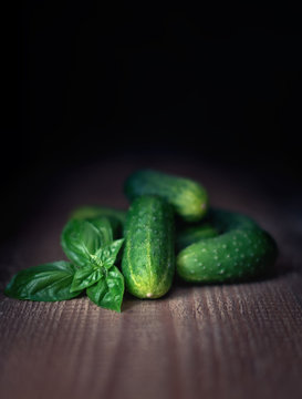 green cucumber and basil on wooden dark background, rustic style, toned, close up