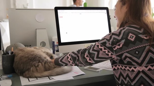 Young woman is working at computer in office and stroking cat lying on table indoor. Attractive female touches fluffy pet resting on desk, distracted from work matters for pleasant stay. Smiling lady