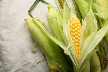 Maize closeup