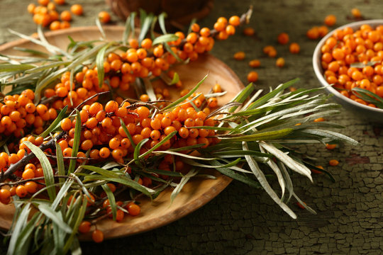 「Seabuckthorn」の画像 - 36,060 件の Stock 写真、ベクターおよびビデオ | Adobe Stock