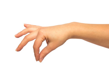 female hand on a white background