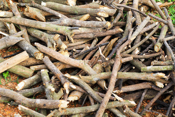 Pile of firewood, preparation of firewood for the winter and use for cooking