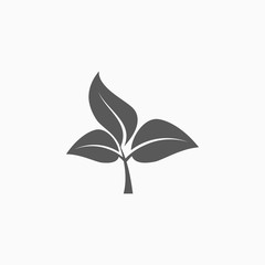 leaf, sprout icon