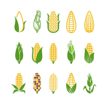 Organic corn vector icons isolated on white background