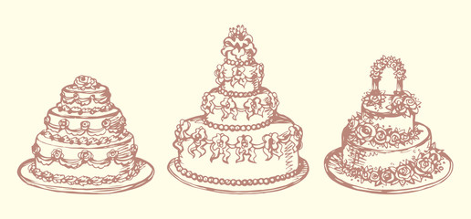 Cake. Vector drawing