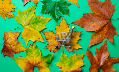 Maple leaves and shopping cart