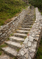 Stone stairs leading up a green hill