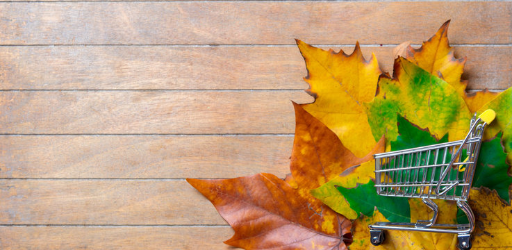 Little shopping cart and muple leaves