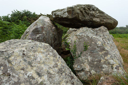 Stone Rattleback Rattleback Bilder – Durchsuchen 226 Archivfotos, Vektorgrafiken und ...