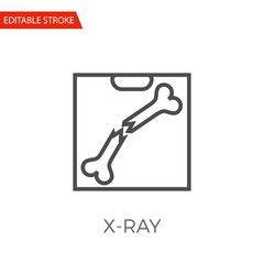 X-ray Vector Icon