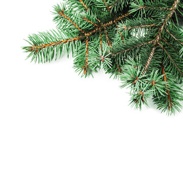 Background with christmas tree branches and space for text  for Christmas card, banner, flyer, wallpapers .