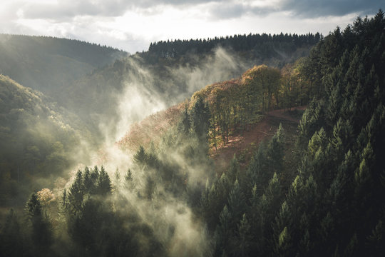Autumn Mood: Early foggy morning at Geierlay Suspension Bridge, Hunr&uuml;ck, Germany