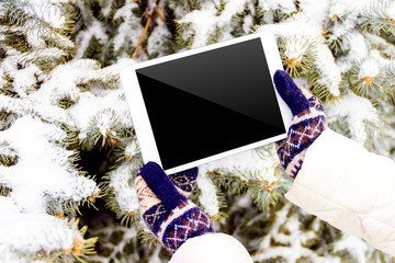 Female / woman / girl hand in mittens with mockup tablet in winter on fir tree background