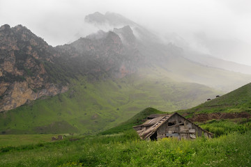 Obraz premium old wooden house in the thick green grass on a background of mountains in the fog