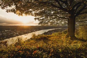 Autumn Mood: Sunset at Bonn, Germany, with the River Rhine in the background - obrazy, fototapety, plakaty