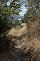 discover the white villages in Sierra Nevada