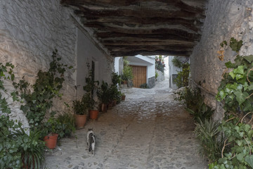 discover the white villages in Sierra Nevada