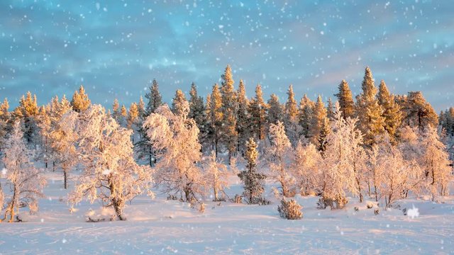 Seamless loop - Snow falling on a winter landscape at sunset, Saariselka, Lapland, Finland, video HD
