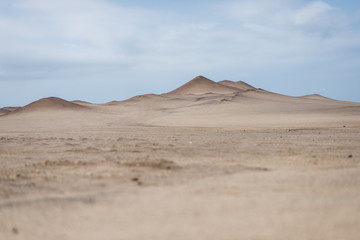Fototapeta na wymiar Deserto di Paracas, Perù