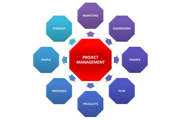 project management tag cloud on whiteboard isolated