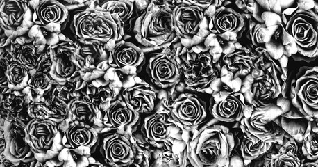 background vintage roses