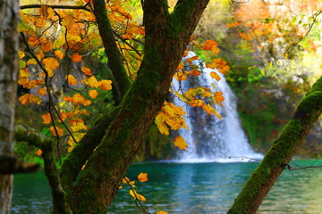 Autumn in National park Plitvice lakes, Croatia