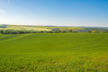Fields in Moravian Tuscany at Sunset, South Moravian, Europe, Czech Republic