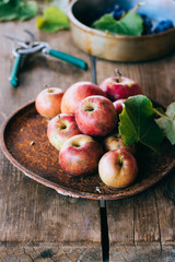 Fresh red apples in a rusty tray, grapes in a steel bowl, on an old wooden background.