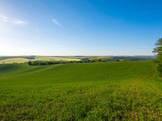 Fields in Moravian Tuscany at Sunset, South Moravian, Europe, Czech Republic