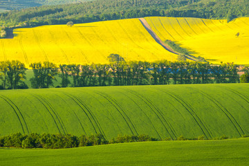 Fields in Moravian Tuscany at Sunset, South Moravian, Europe, Czech Republic