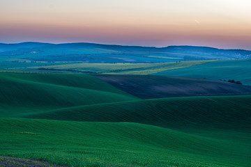 Fields in Moravian Tuscany at Sunset, South Moravian, Europe, Czech Republic