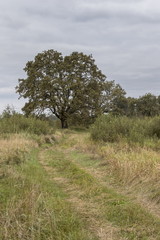 Autumn landscape, Belarus