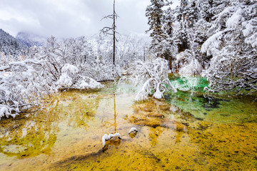 Landscape of colorful lake and trees