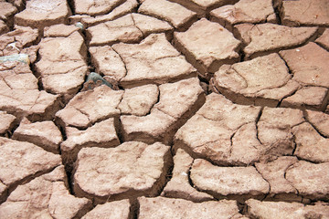 Cracked earth