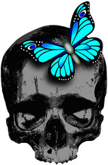 skull with blue butterfly