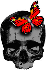 skull with red butterfly