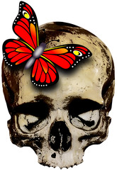 Naklejka premium Skull with red butterfly